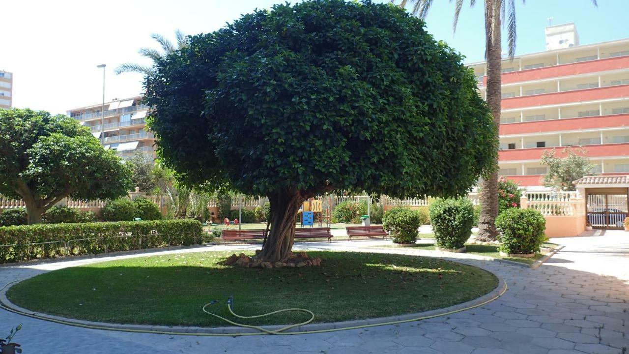 Tortuga Flat Apartamento Alicante Exterior foto