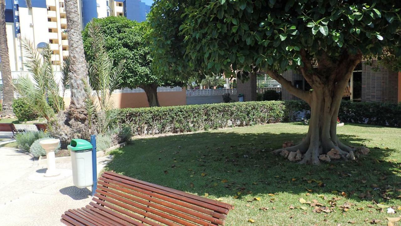 Tortuga Flat Apartamento Alicante Exterior foto